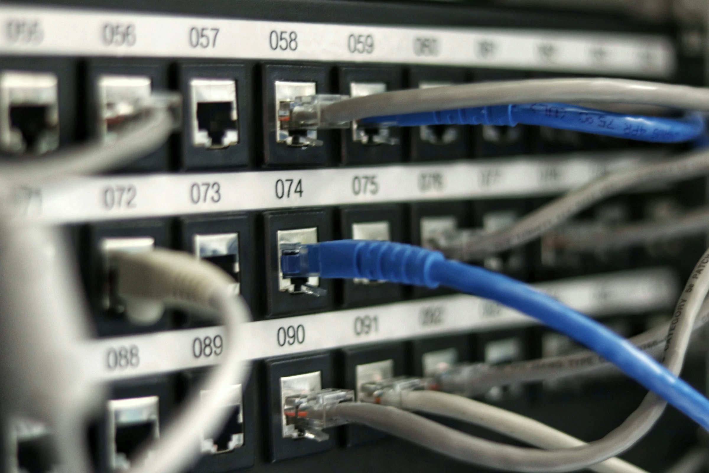 Blue network cables connected to server equipment.